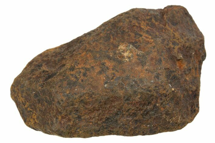 Mundrabilla Iron Meteorite ( g) - Australia #318886